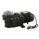 POMPE DE FILTRATION PISCINE SWIM 750